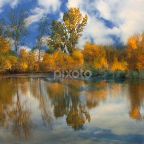 Autumn Splendor by Floyd Hopper - Landscapes Travel