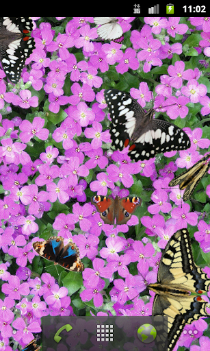 Butterfly Live Wallpaper Free