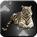 Tigers Live Wallpaper icon
