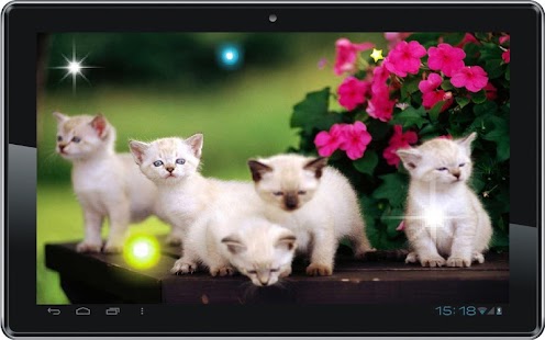 Kittens Voice live wallpaper