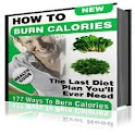 177 Ways To Burn Calories logo