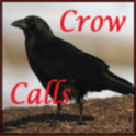 Crow Calls icon