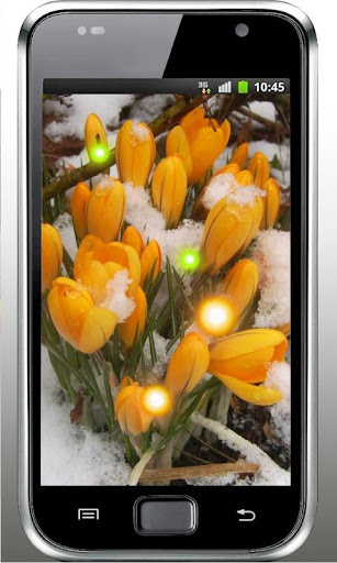 【免費個人化App】Snowdrop Spring live wallpaper-APP點子