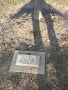 Memorial Tree Johnson 