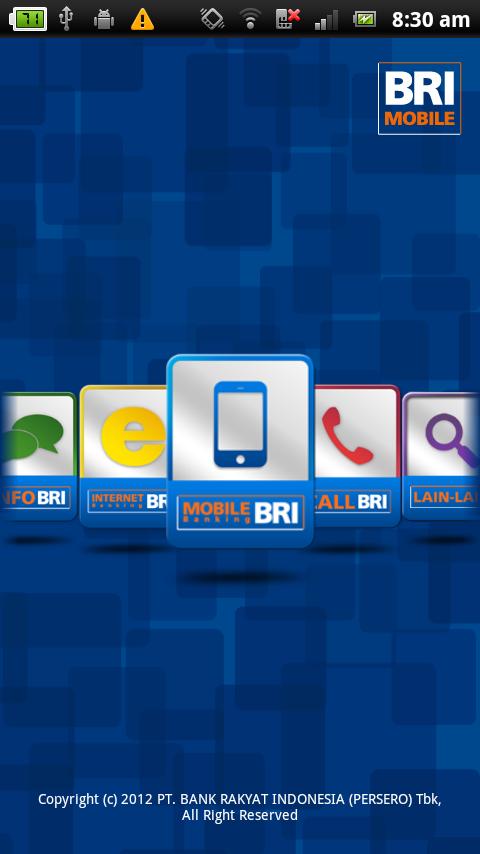 BRI Mobile Screen 2