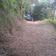 香草菲菲 芳香植物博物館