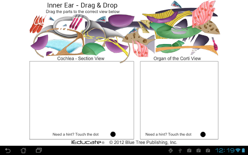 【免費醫療App】Inner Ear Drag & Drop-APP點子