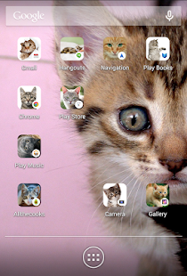 【免費個人化App】Icon Changer Cute Cats-Scleen-APP點子