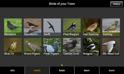 Birds of your Town Screenshots 16