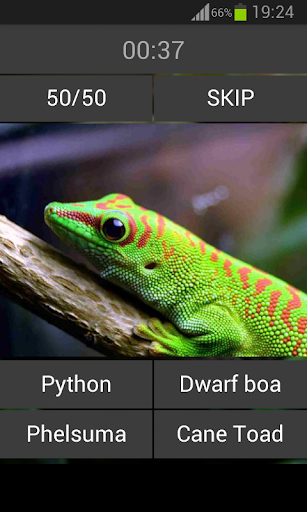 免費下載益智APP|Guess the reptile app開箱文|APP開箱王
