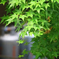 台北奧萬大樂活莊園