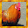 Wild Chicken Simulator Download on Windows