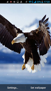 How to get Eagle Live Wallpaper 4.0 mod apk for pc