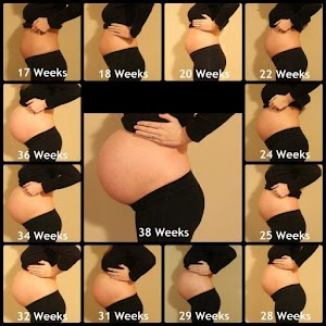 Pregnancy Calculator 1.3