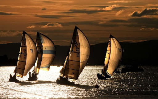 3D Speed sailboat