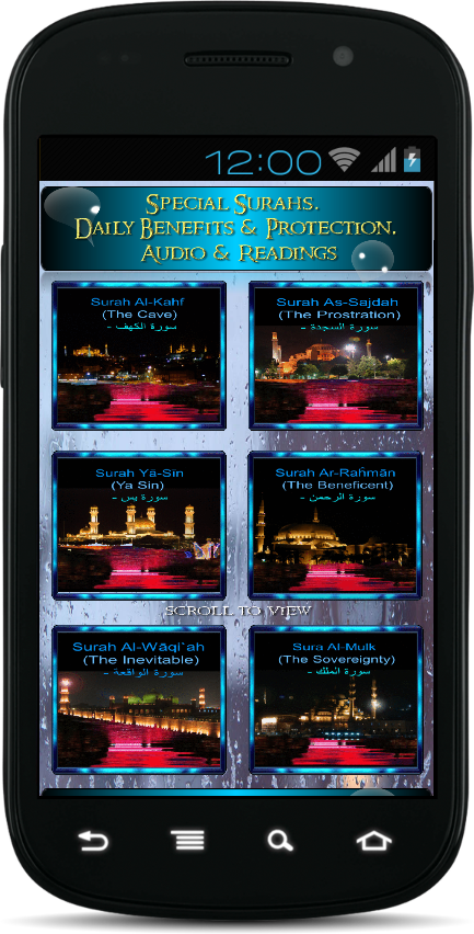 Android application Al Ghamdi Special Surahs screenshort