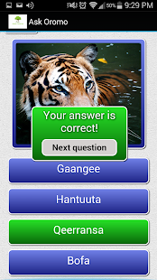How to download Learn Afaan Oromo Easy Way patch 2.4 apk for laptop