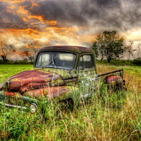 Truck in weeds by Christopher John - Transportation Automobiles