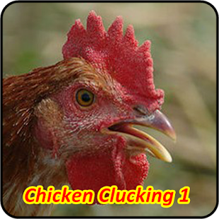 Download Chicken Soundboards APK for PC