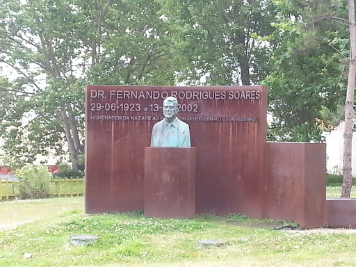 Dr. Fernando Rodrigues Soares