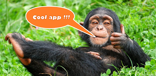 Animal Sounds Zoo for Toddlers -  apk apps