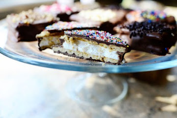 Chocolate Covered S’mores