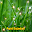 Ayat Sujud Sajadah Download on Windows