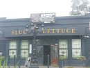 The Slug and Lettuce