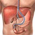 Gastroenterology logo