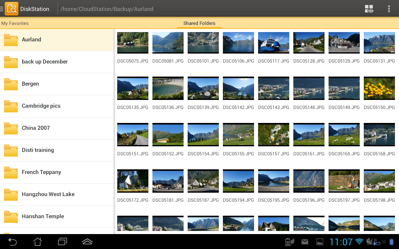Ds file
