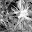 terrants Download on Windows