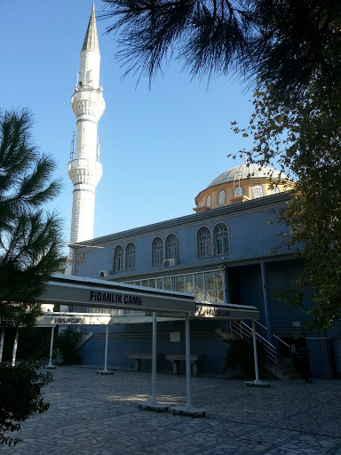 Fidanlık Camii