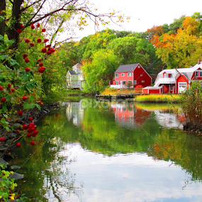 Fall scene, Riverside, CT. by John Hayes - Landscapes Travel