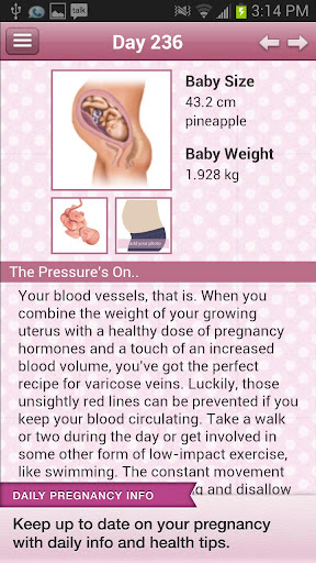 【免費健康App】BabyBump Pregnancy Free-APP點子