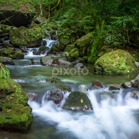 River in Georgia by Tamir Vaknin - Landscapes Forests