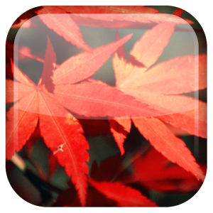 Autunno sfondi animati