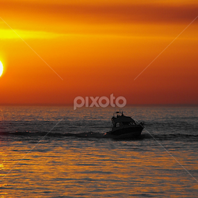 O regresso by Ana Batista Constantino - Uncategorized All Uncategorized