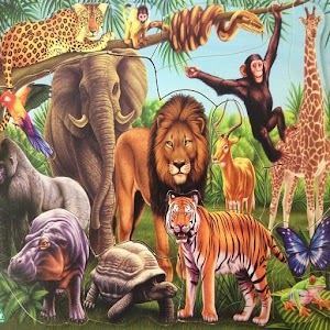 حديقة الحيوانات/Zoo.apk 1.1