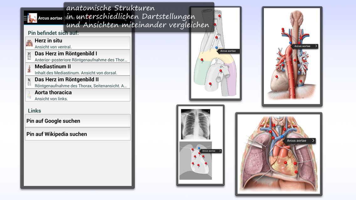 Android application PROMETHEUS LernKarten screenshort