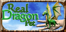 Real Dragon Pet APK