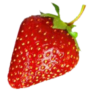 Inside my food.apk 1.0.5
