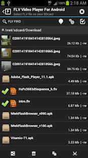   FLV Video Player For Android- screenshot thumbnail   