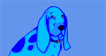 Blue Basset 