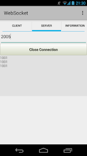 WebSocket Screenshots 8