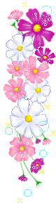 dns10.png