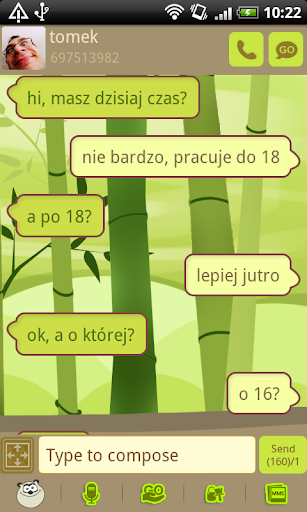 GO SMS Pro Bamboo Panda Theme