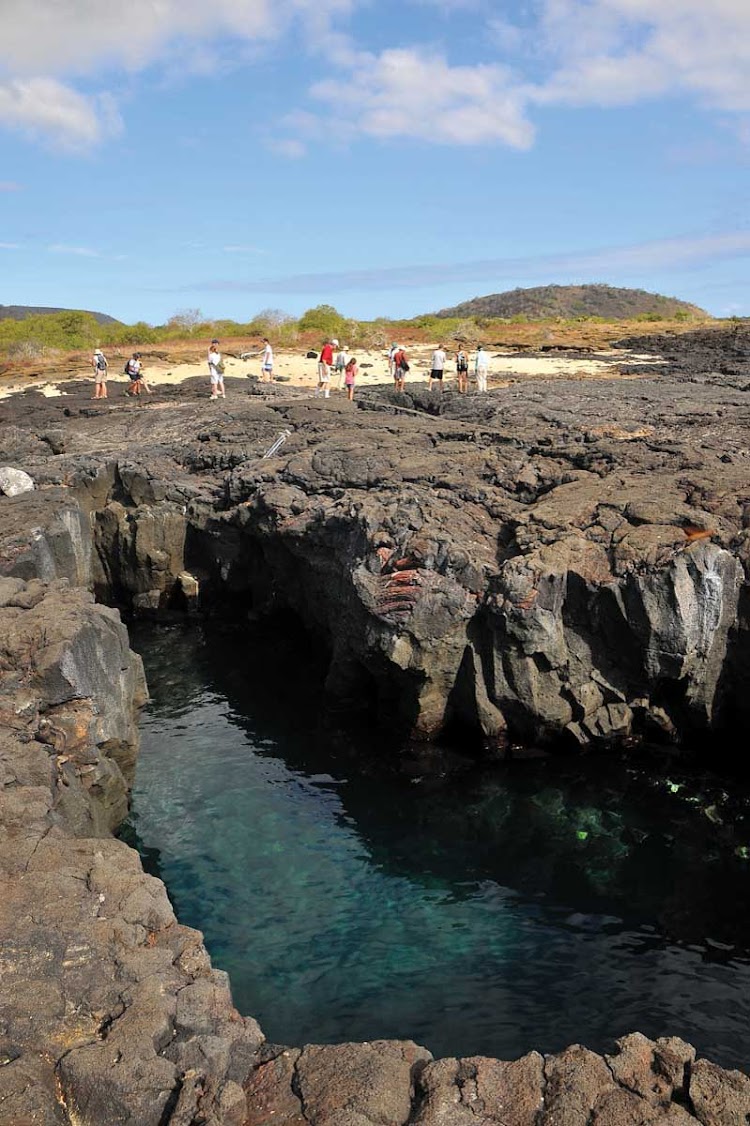 There is no place on earth like the Galapagos, created over the course of time by roaring volcanoes and titanic geothermic upheavals. 