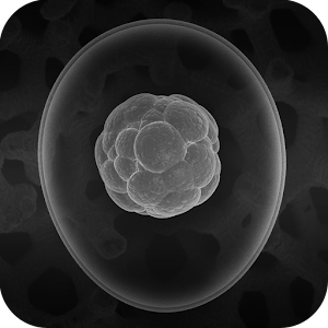 Stem Cells Glossary 1.3