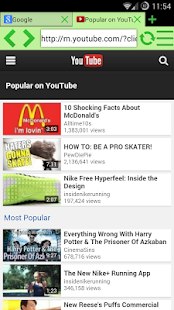Lime PRO: WEB-Browser (Donate) - screenshot thumbnail