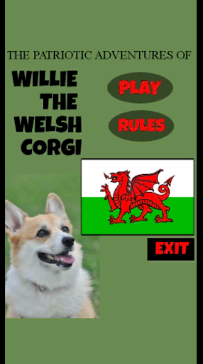 Willie The Welsh Corgi